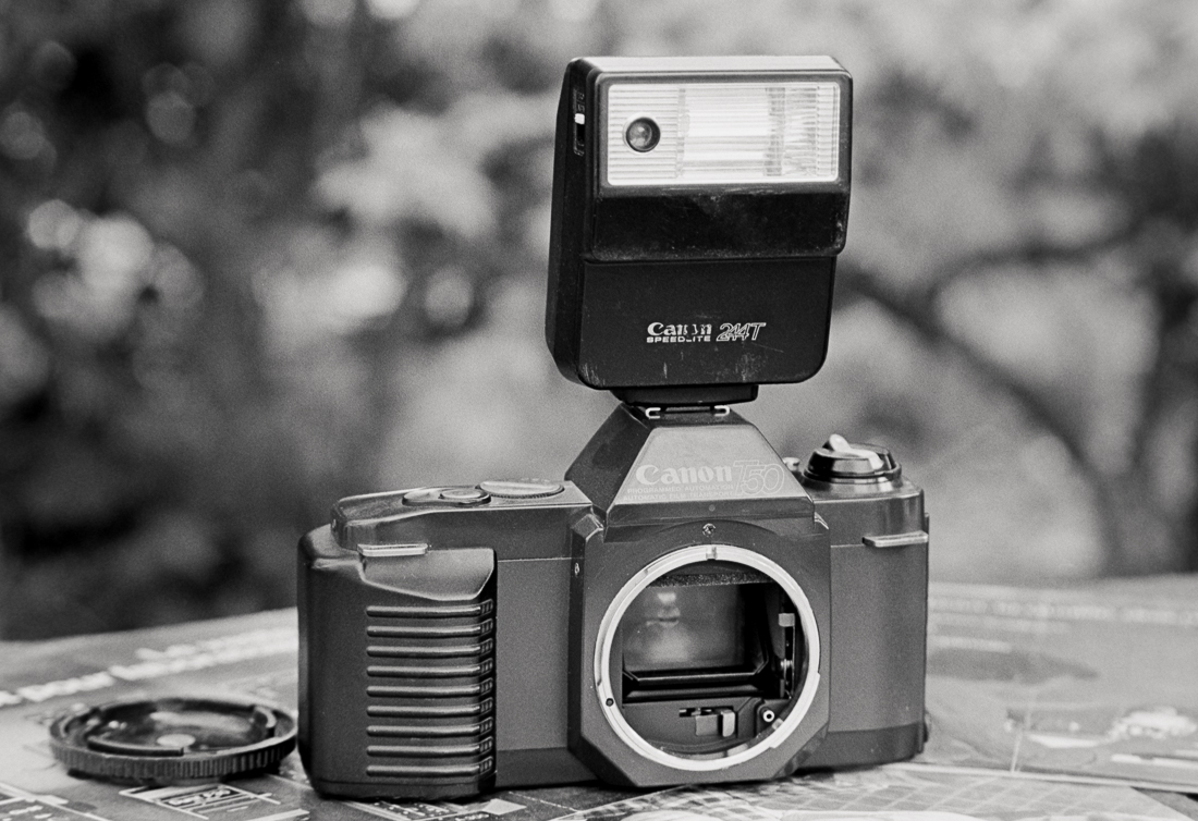 Canon T50