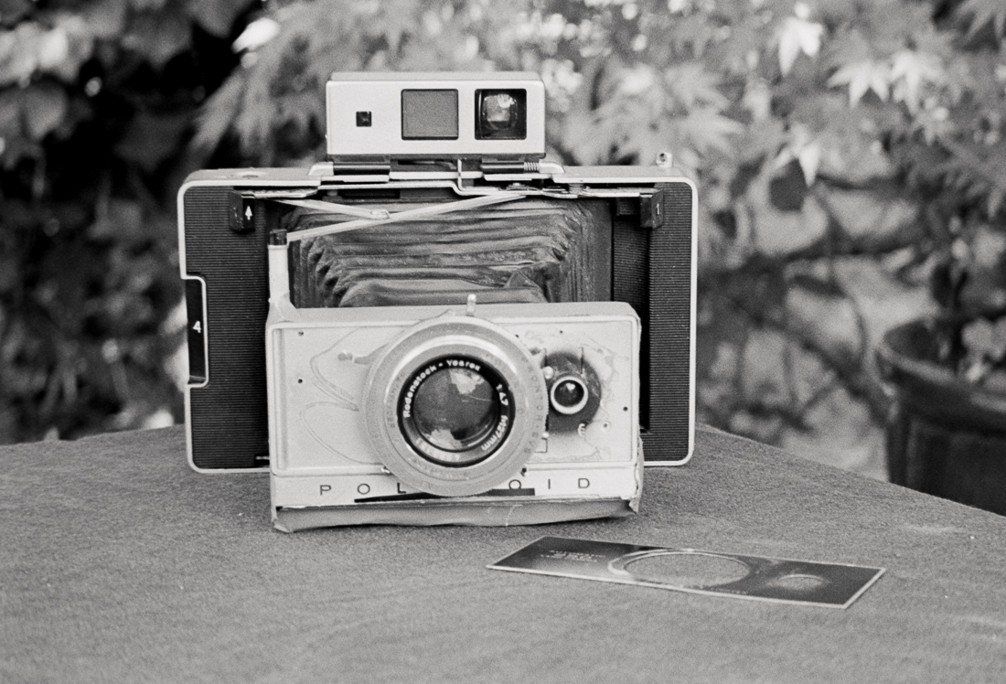 pola250